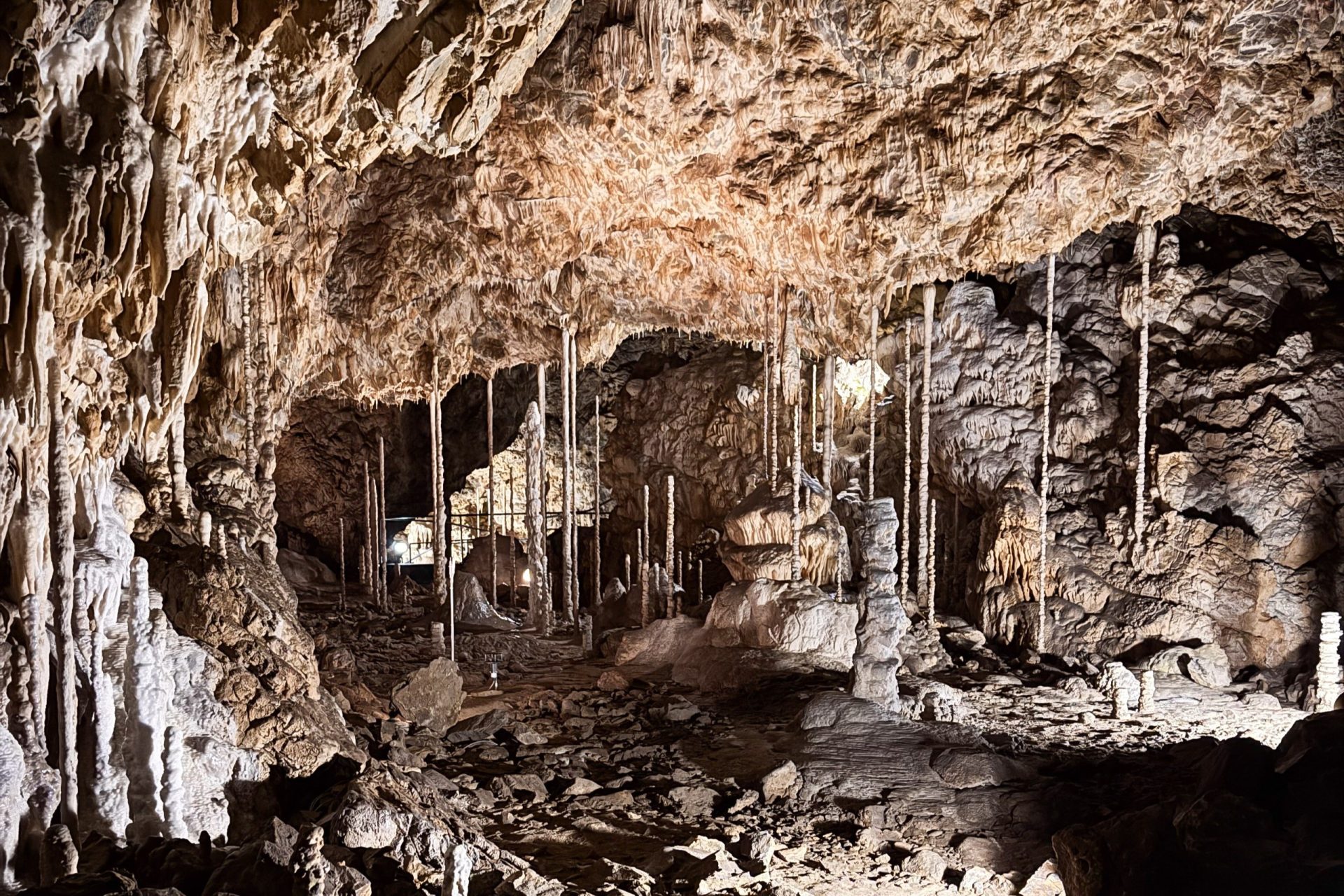 23HMS-E51-Hike in Moravský kras-7-web