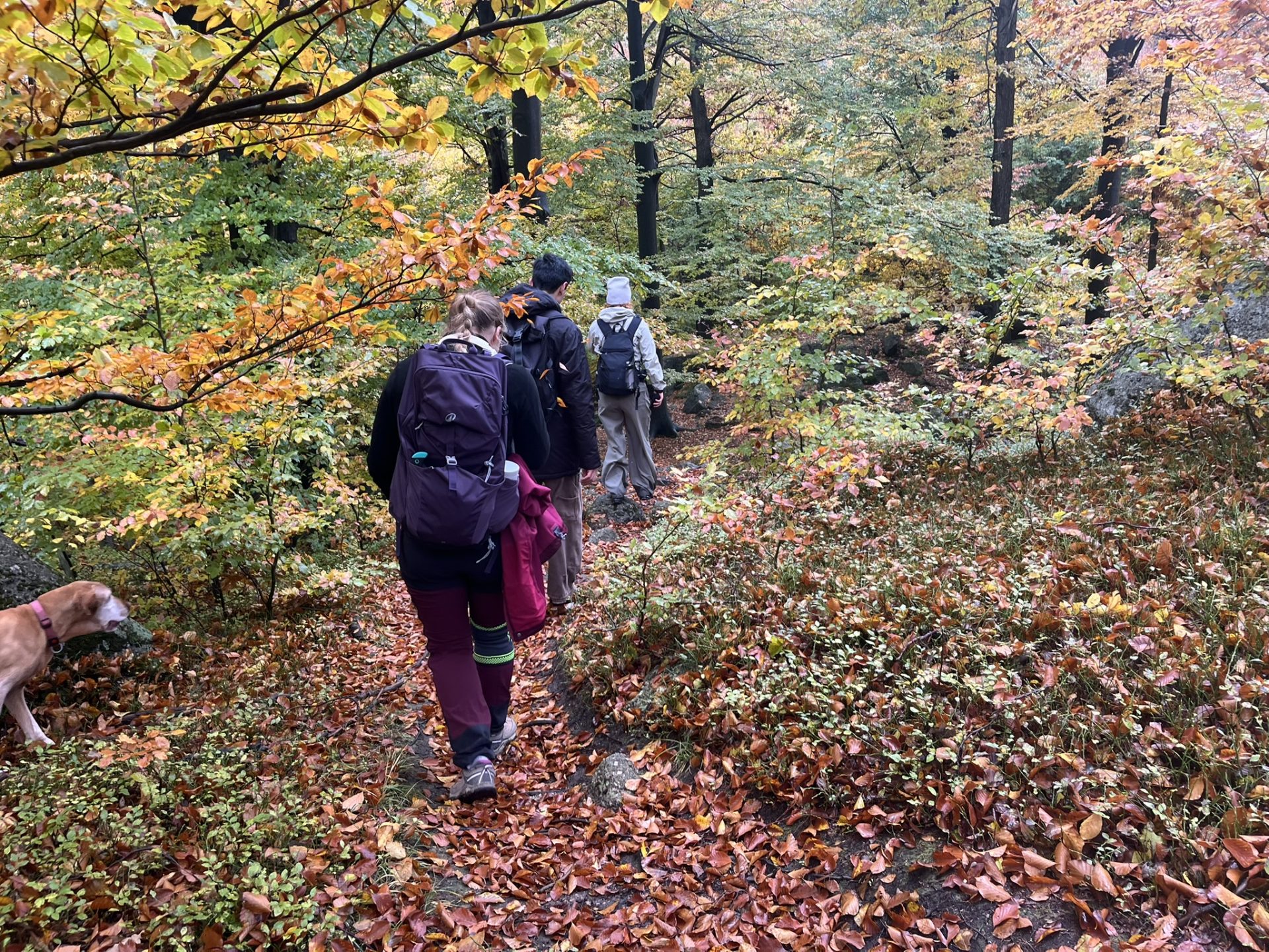 23HSM-E53-HikeInJizerskehory-IMG_8250-web