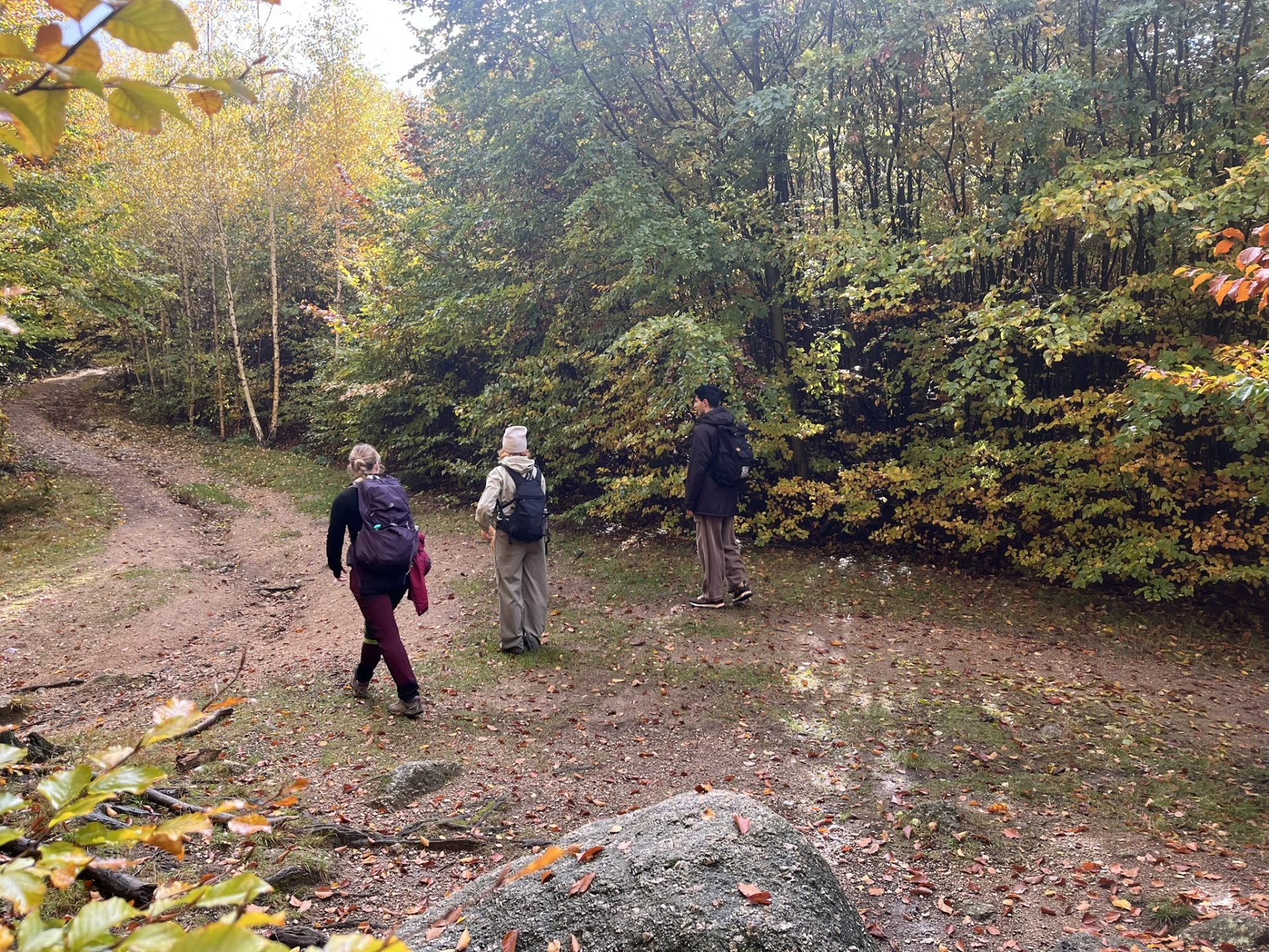 23HSM-E53-HikeInJizerskehory-IMG_8255-web