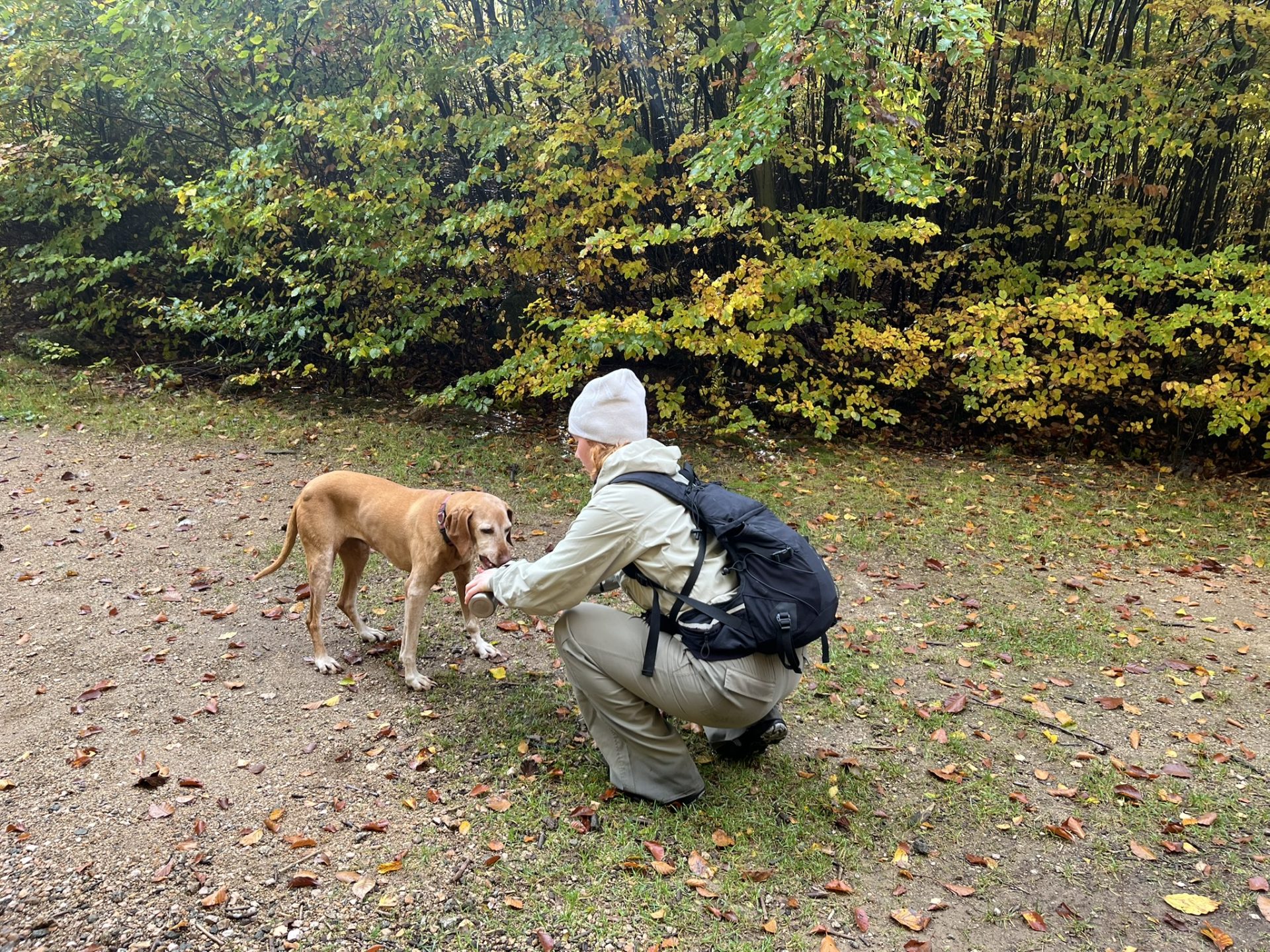 23HSM-E53-HikeInJizerskehory-IMG_8257-web