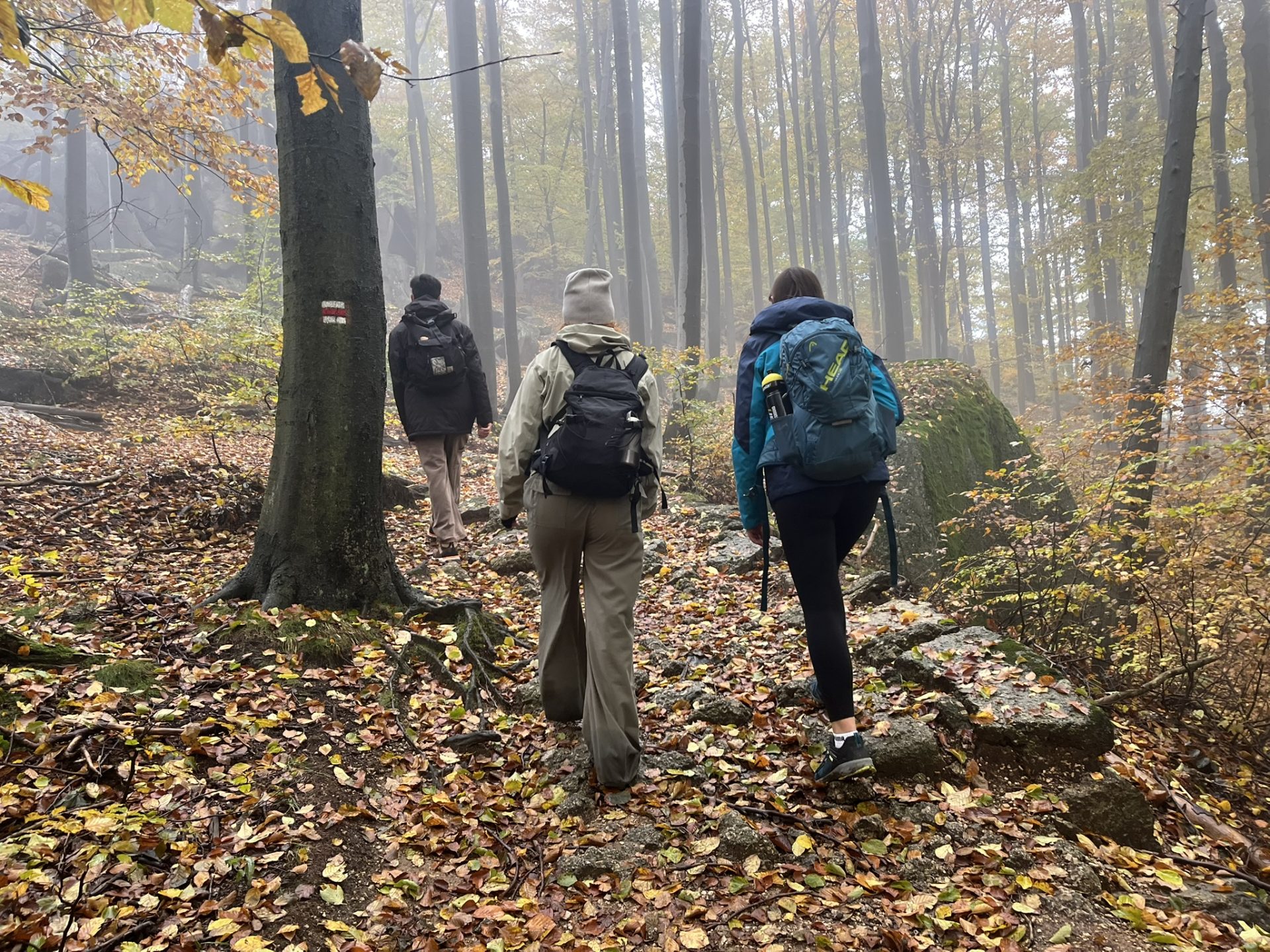 23HSM-E53-HikeInJizerskehory-IMG_8272-web