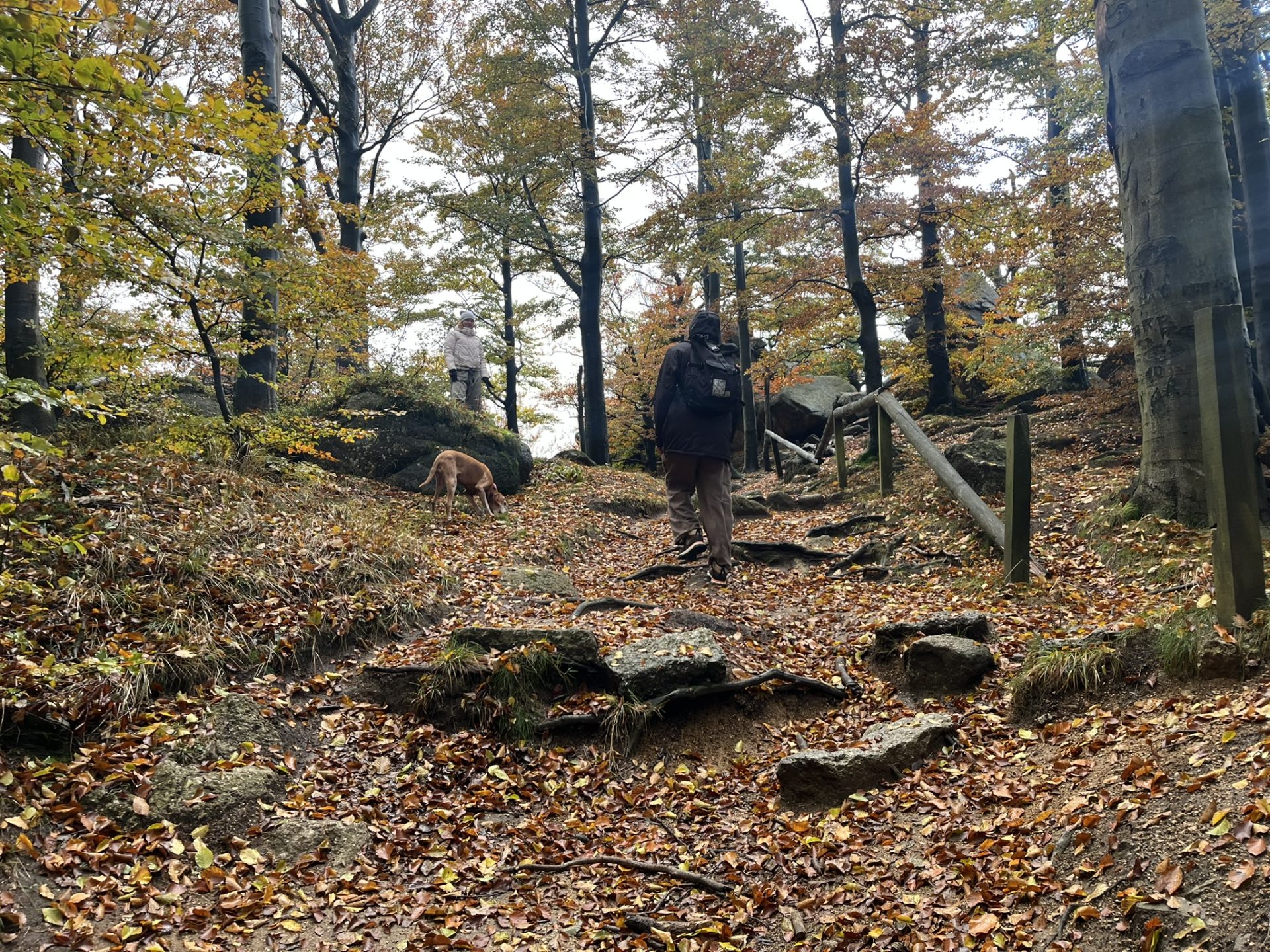 23HSM-E53-HikeInJizerskehory-IMG_8354-web