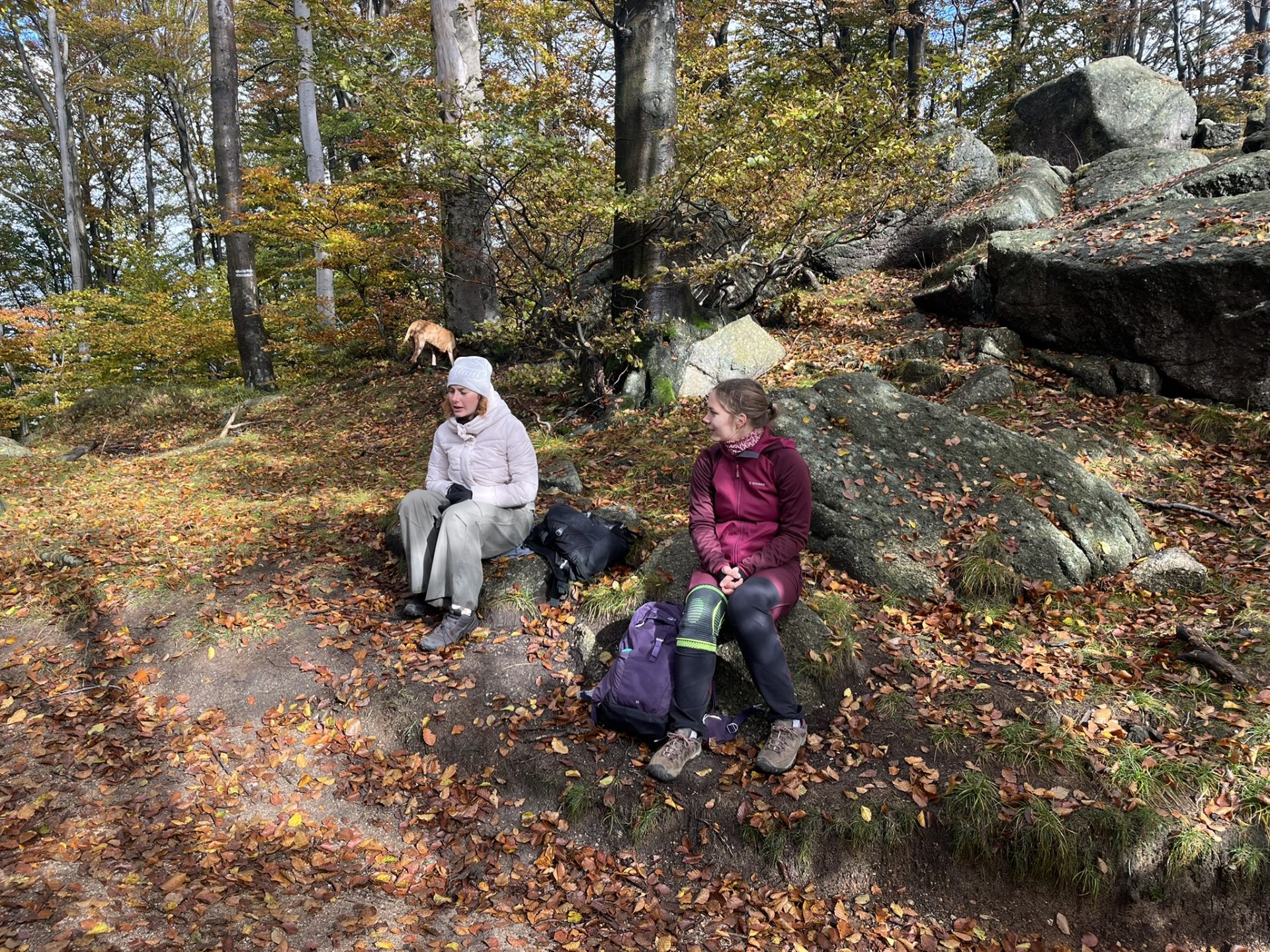 23HSM-E53-HikeInJizerskehory-IMG_8357-web