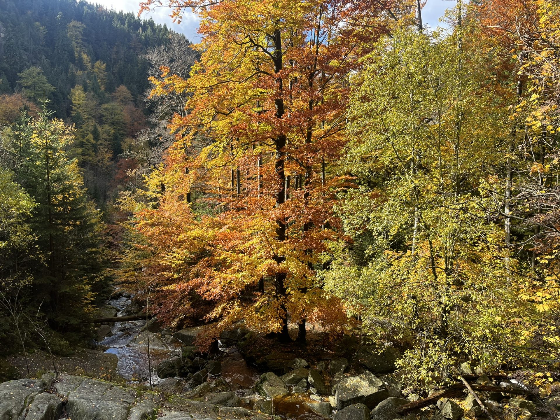 23HSM-E53-HikeInJizerskehory-IMG_8372-web