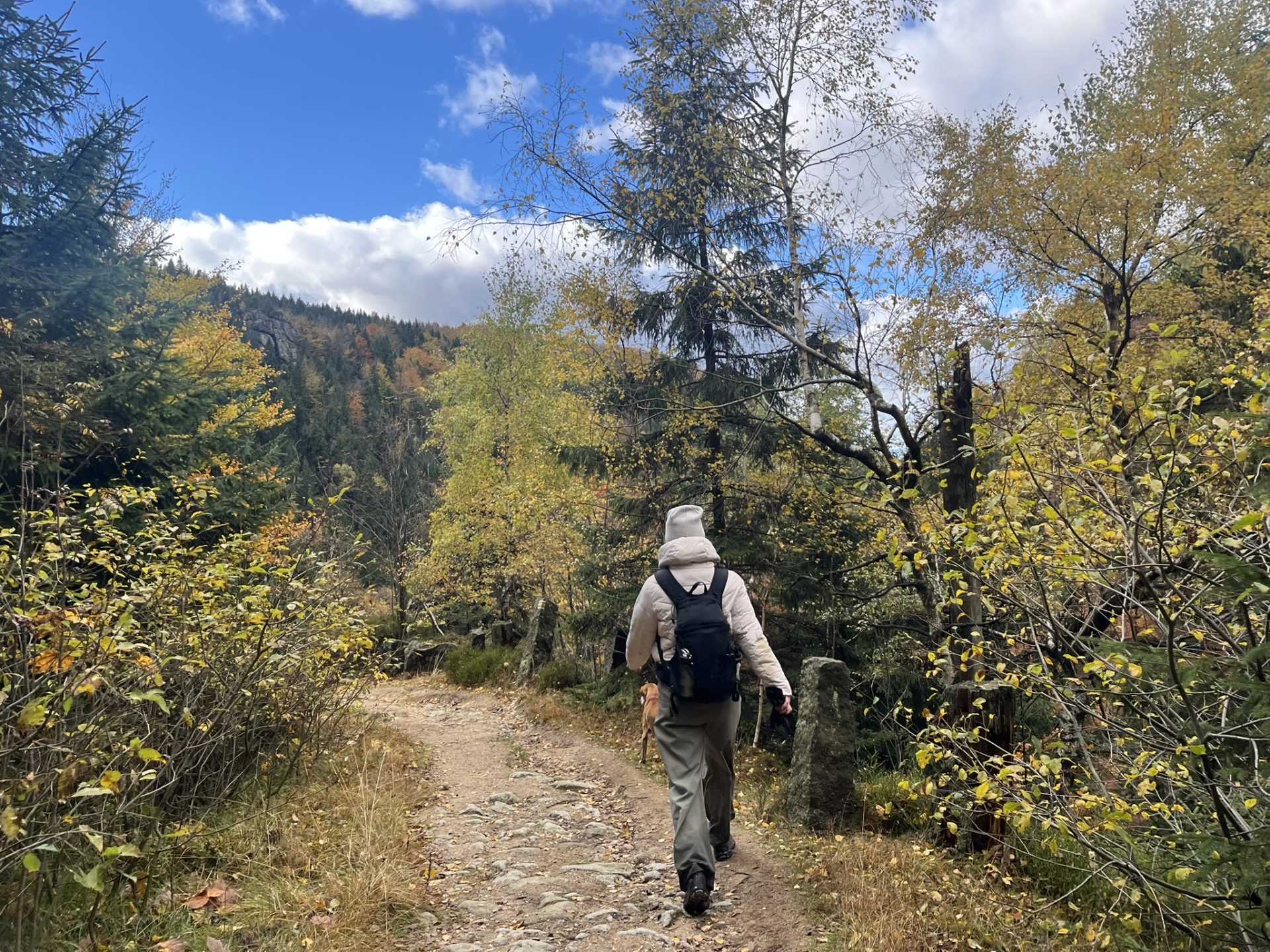 23HSM-E53-HikeInJizerskehory-IMG_8403-web