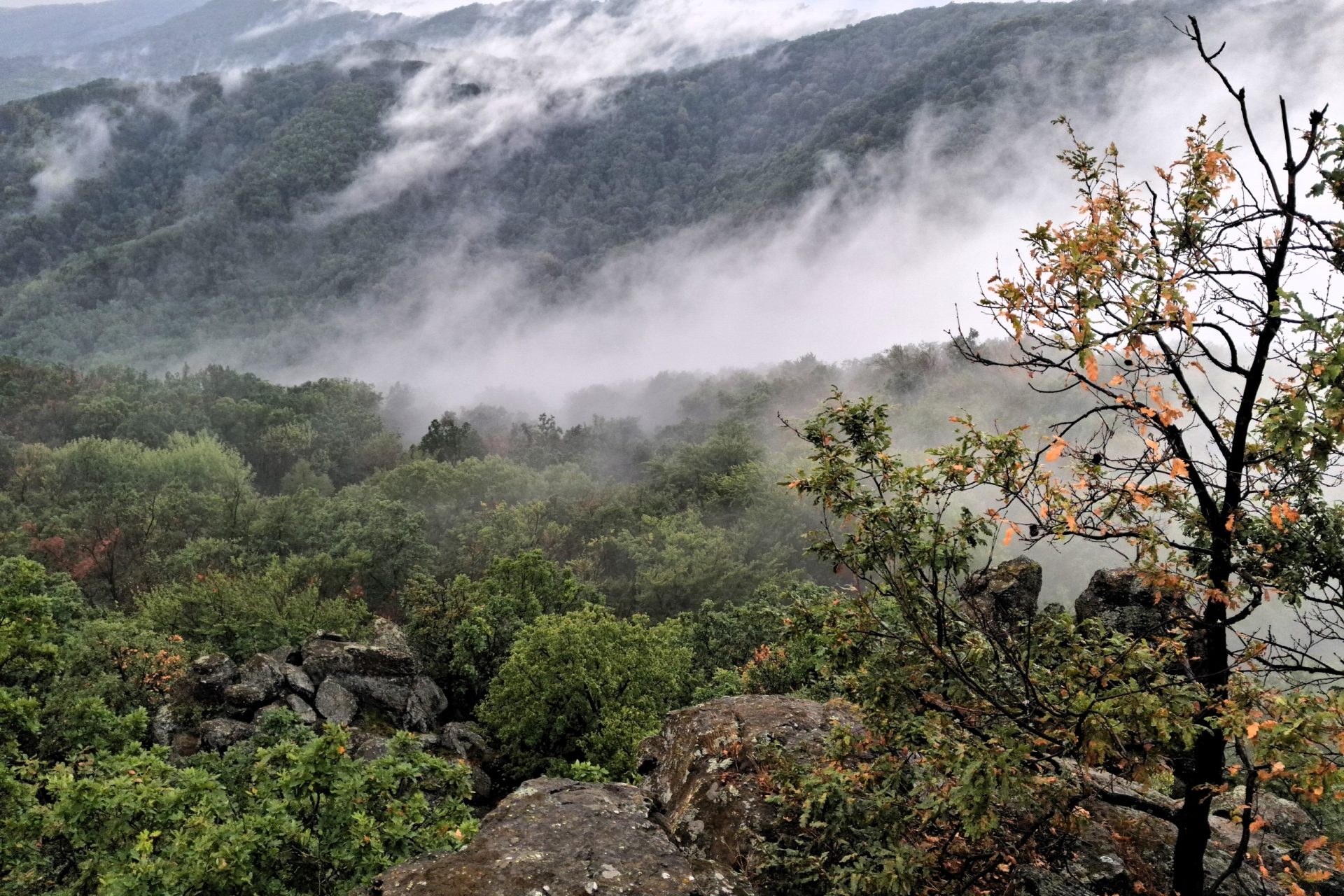 23HSM-E73-HikeinCerovavrchovina-07-web