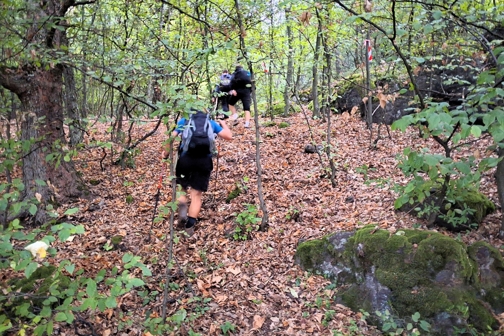 23HSM-E73-HikeinCerovavrchovina-08-web