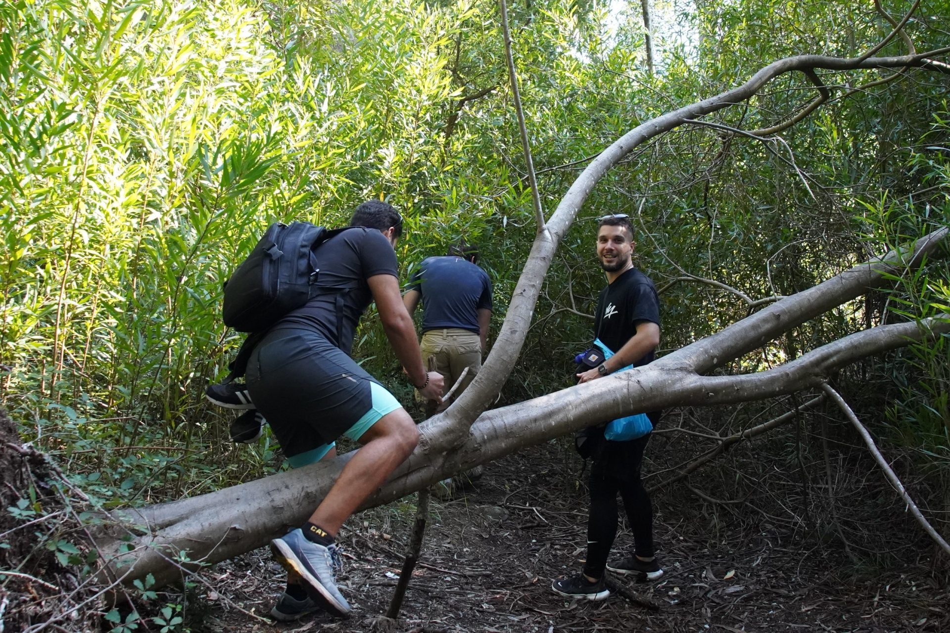 23HSM-E83-HikeinSintra-B2701144-web