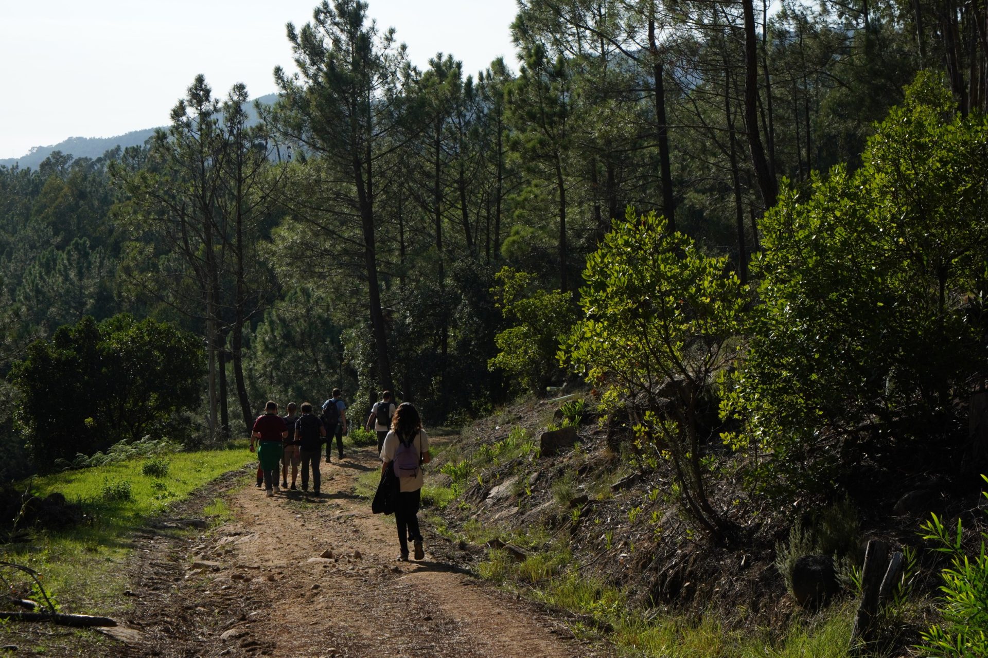 23HSM-E83-HikeinSintra-B2701421-web