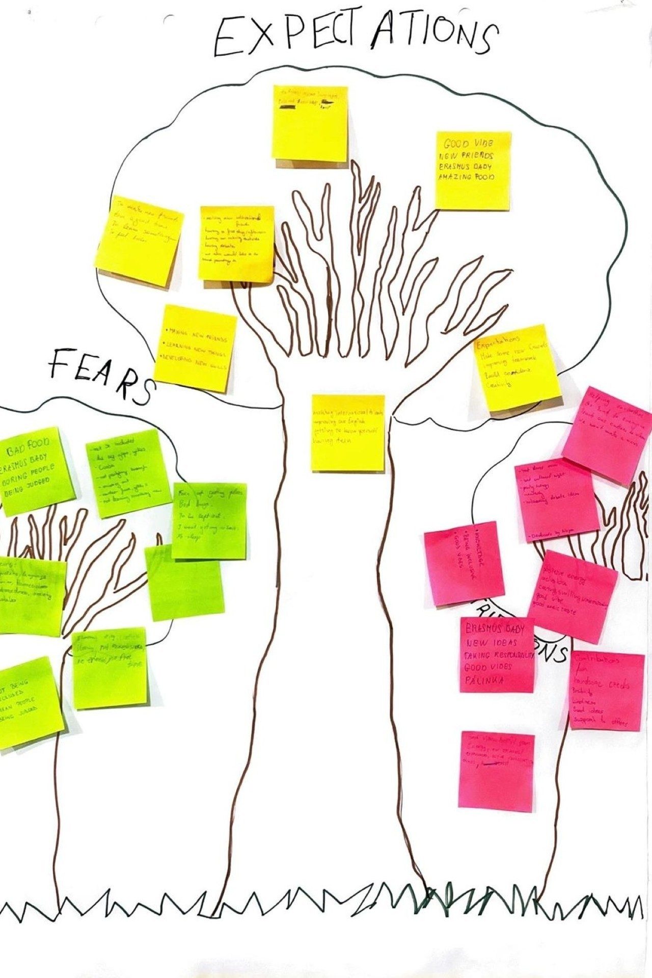 25CZ-A2-BloomingConnections-ExpactationsFearsAndContributions