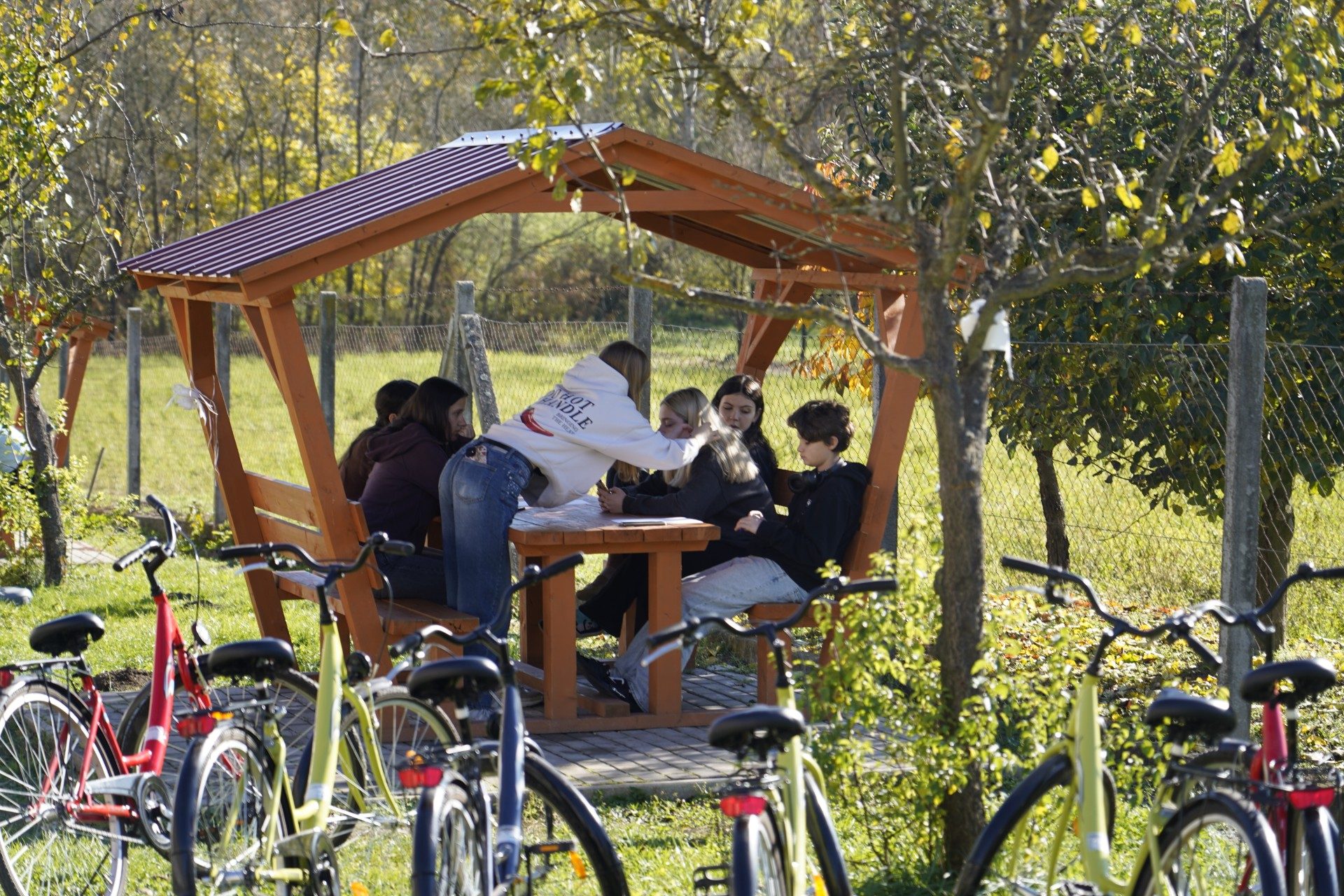 25CZ-A2-BloomingConnections-_ACC0010-web