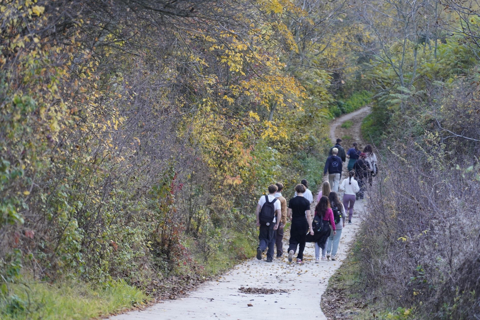 25CZ-A2-BloomingConnections-_ACC1967-web