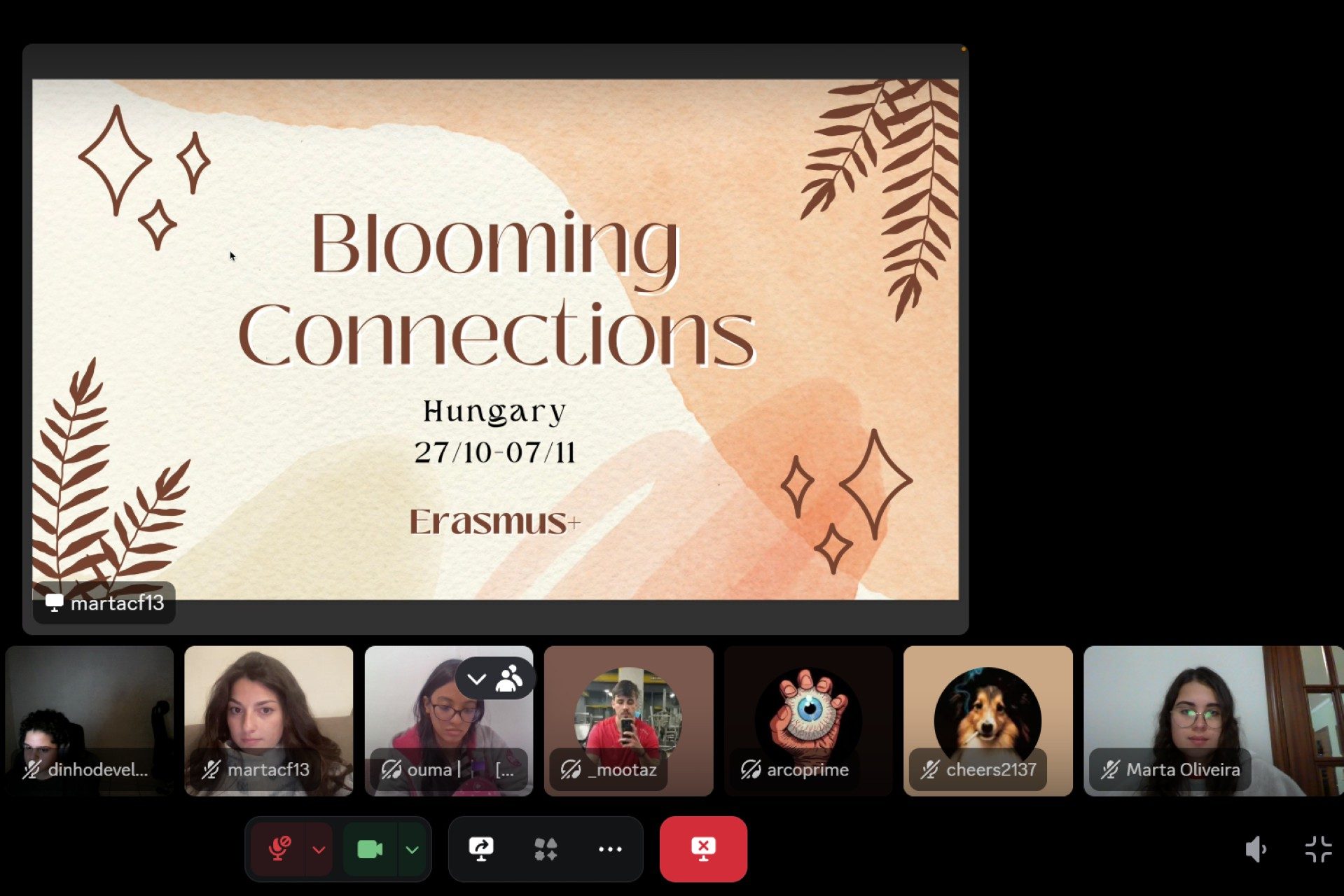 25CZ-A2-PT-Videocallviadiscord-MartaVieiraSaraivaDeOliveira-2