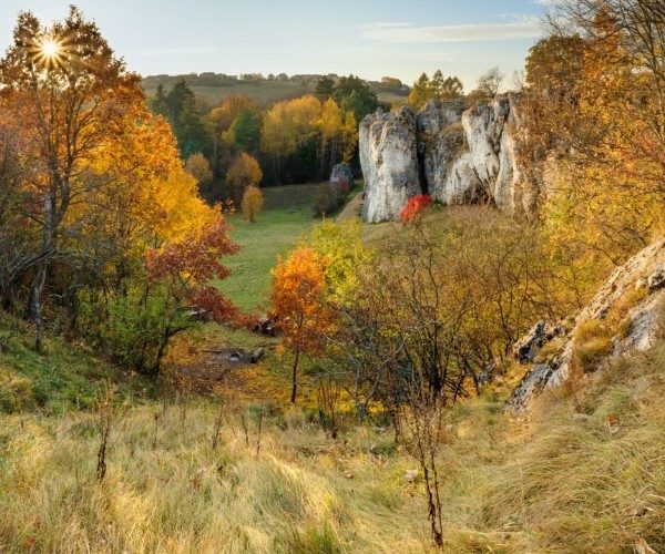 kolibky-npp-rudicke-propadani-20630